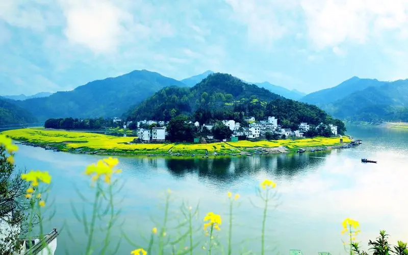 高效高性能高端